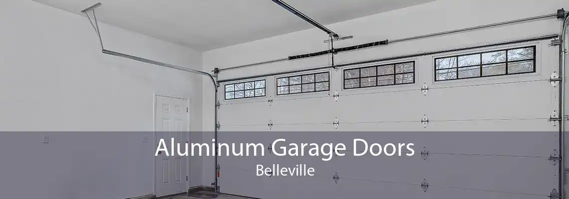 Aluminum Garage Doors Belleville