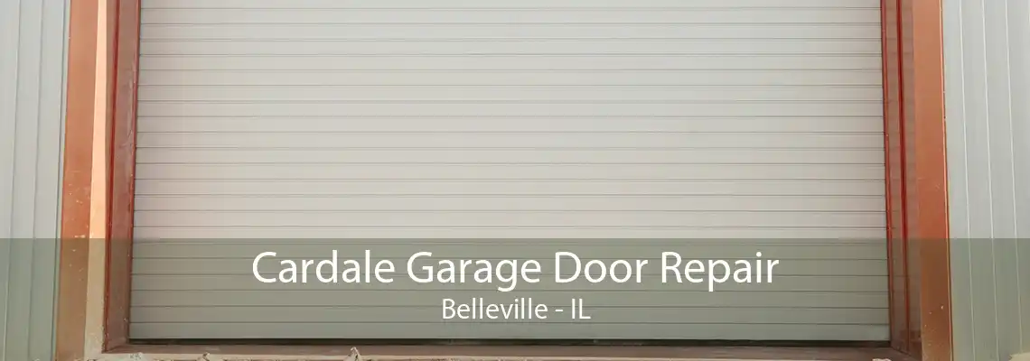 Cardale Garage Door Repair Belleville - IL