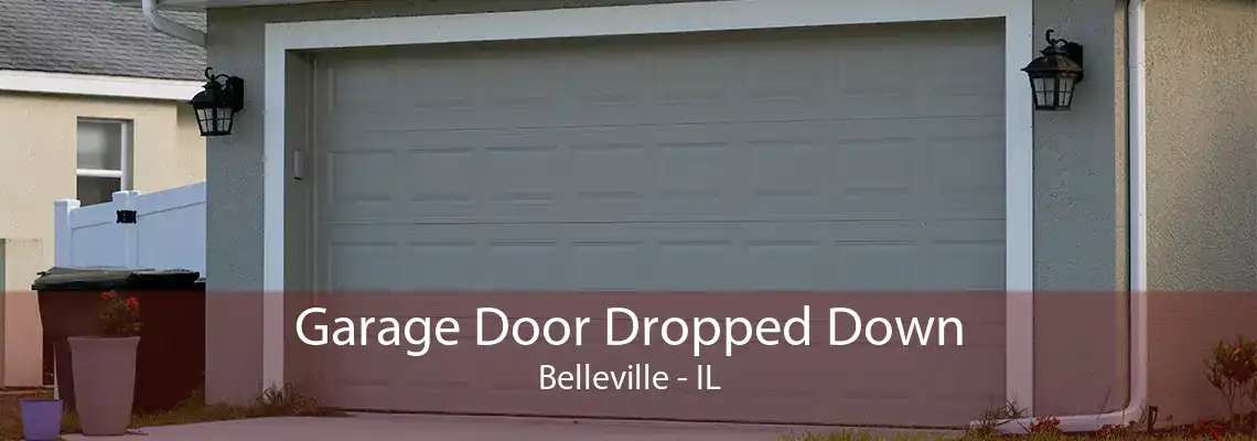 Garage Door Dropped Down Belleville - IL