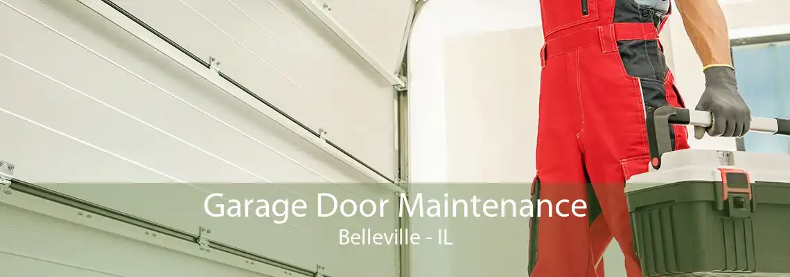 Garage Door Maintenance Belleville - IL