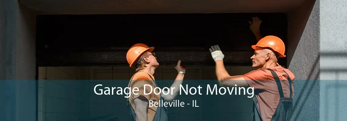 Garage Door Not Moving Belleville - IL