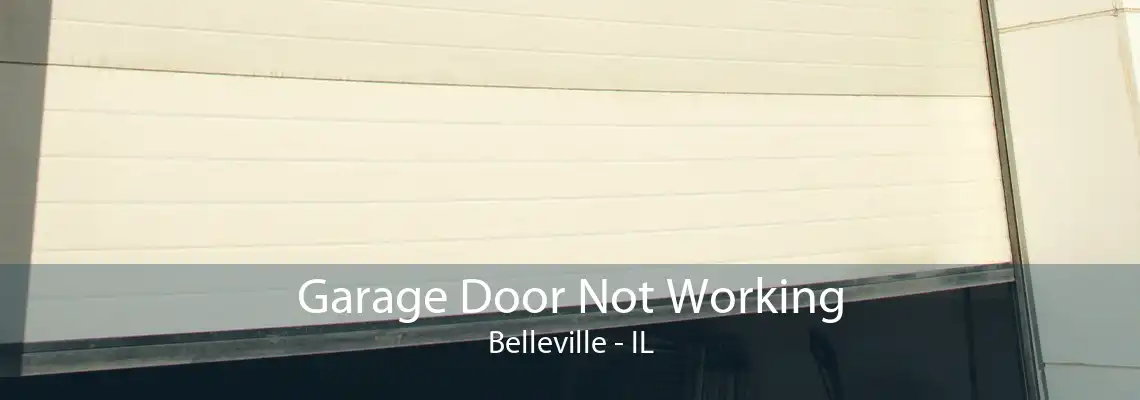 Garage Door Not Working Belleville - IL