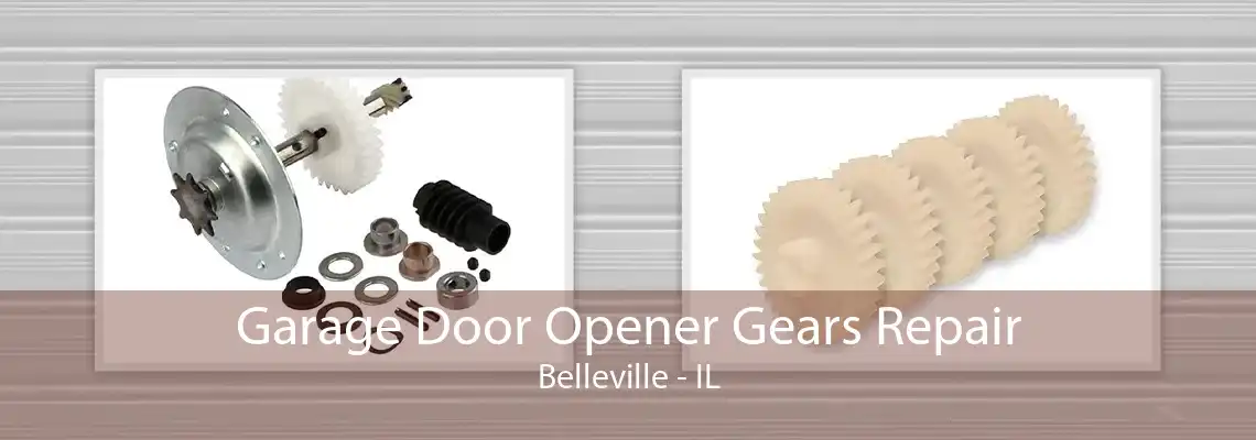 Garage Door Opener Gears Repair Belleville - IL