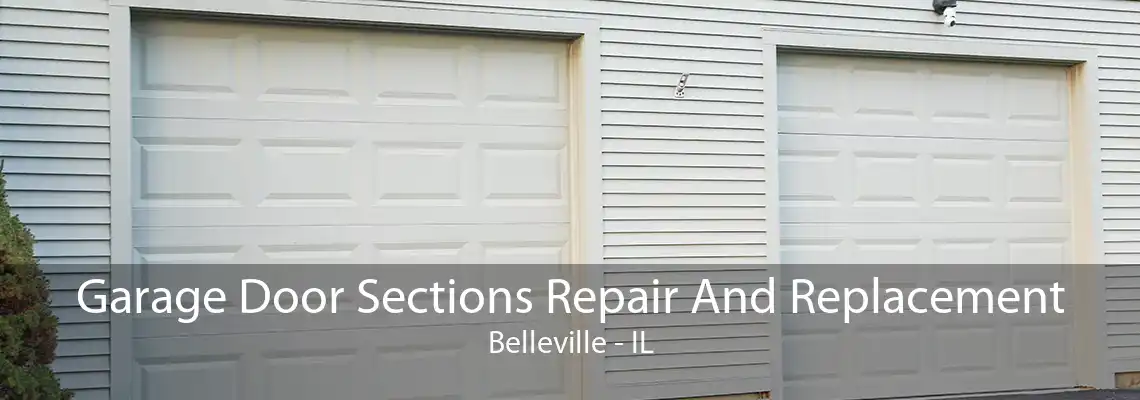 Garage Door Sections Repair And Replacement Belleville - IL