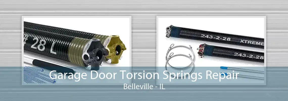 Garage Door Torsion Springs Repair Belleville - IL