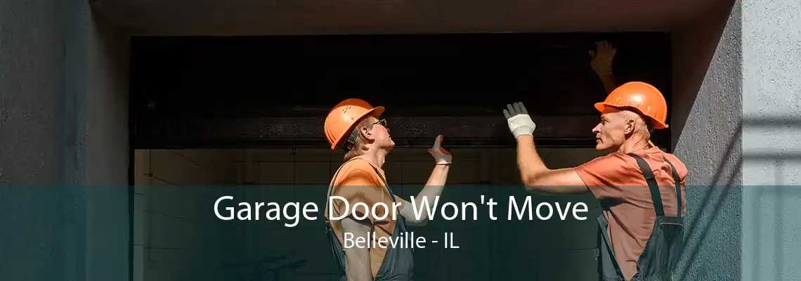 Garage Door Won't Move Belleville - IL