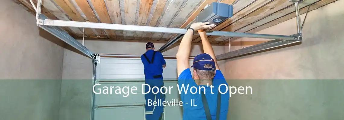 Garage Door Won't Open Belleville - IL