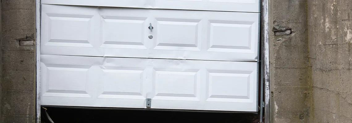 Garage Door Got Hit By A Car Dent Removal in Belleville, IL