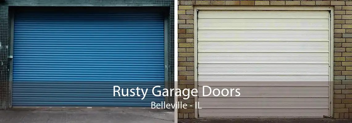 Rusty Garage Doors Belleville - IL